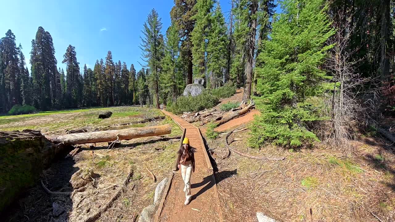 Giovane escursionista cammina attraverso un gigantesco albero caduto e un sentiero nel bosco
