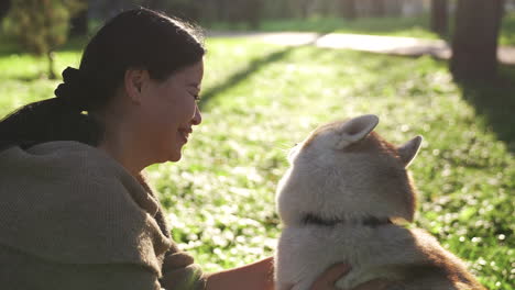 mooie siberische hond close-up