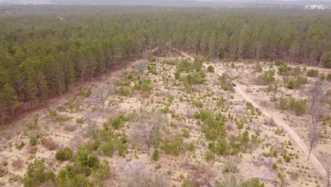 Offroad-Strecken-Umgeben-Von-Wiesen-Und-Wäldern-In-Leota,-Michigan