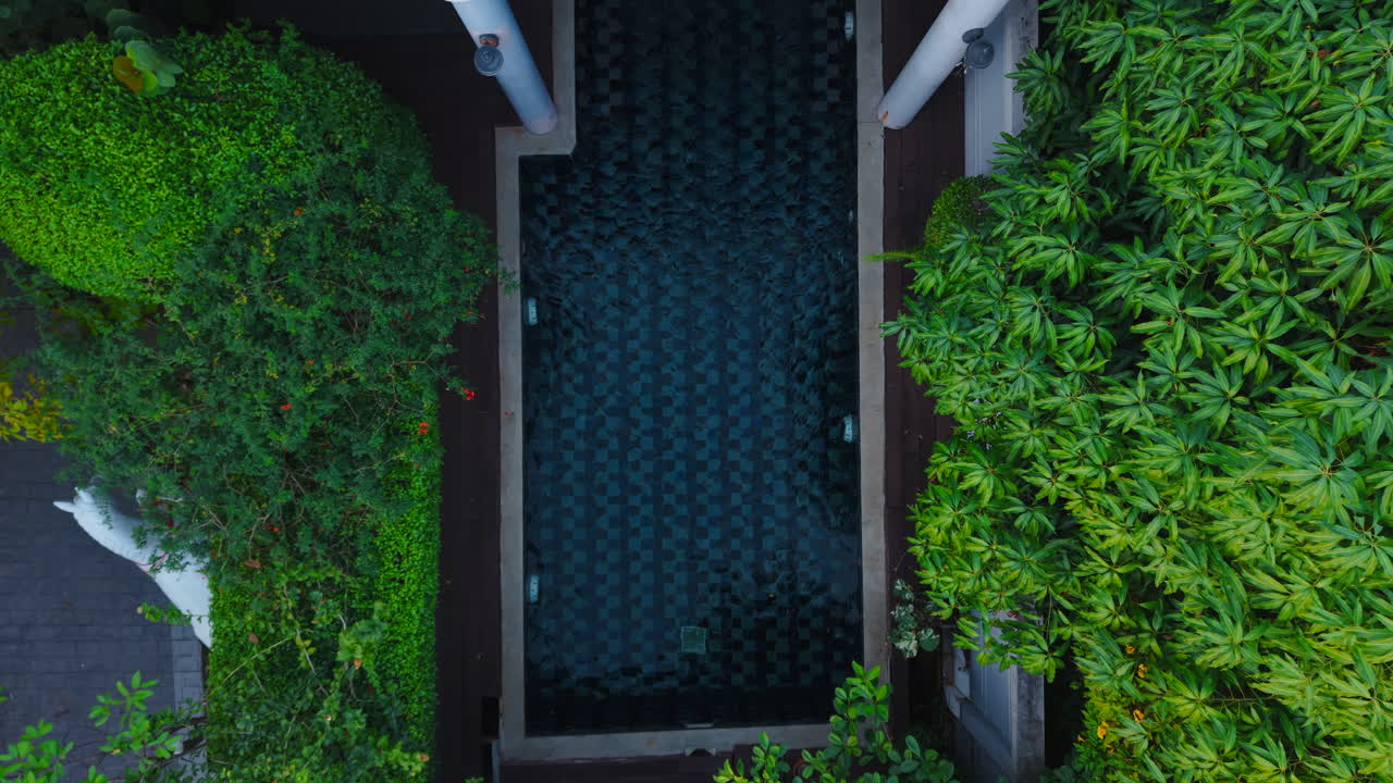 Vista aérea de uma piscina rodeada por vegetação exuberante