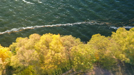 yellow trees waterfront adorned by the sparkling waves of river. wind blowing across the water surface and tree leaves. top view.