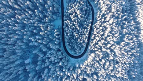 Magnificent-View-Of-Snowy-Forest-in-Romania---Aerial-shot