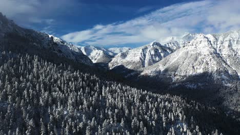 majestic winter landscape scenery, sunny snow capped peaks and conifer forest on sunny day, drone aerial view