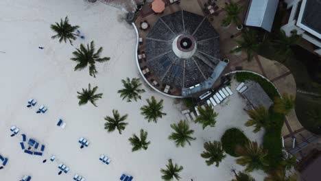 Top-down-aerial-view-of-beach-chairs,-palm-trees,-and-pools-at-a-Barbados-resort