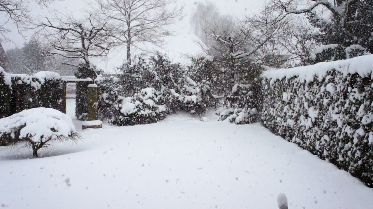 함부르크의 정원에서 무거운 호수 효과 폭설