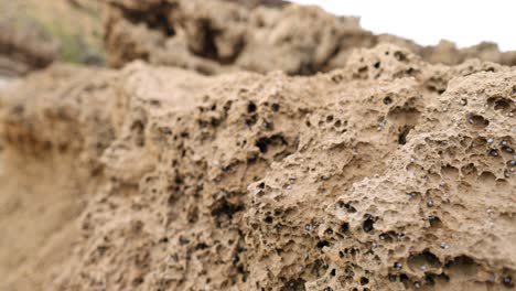 close-up of eroded limestone rocks on the coast