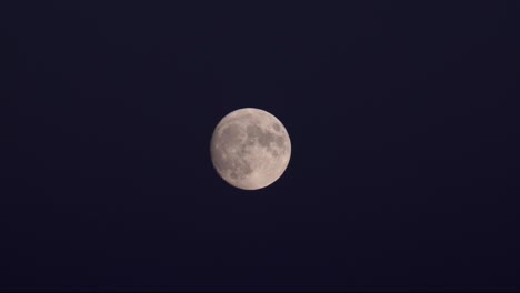 Primer-Plano-De-Una-Superluna-De-Cosecha-Sobre-Un-Cielo-Oscuro