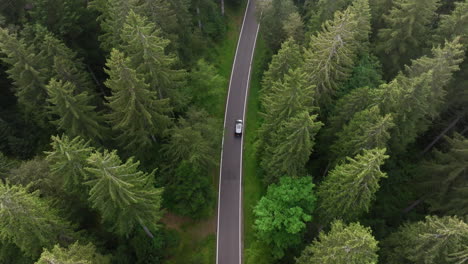 aerial view of cars driving on a winding forest road