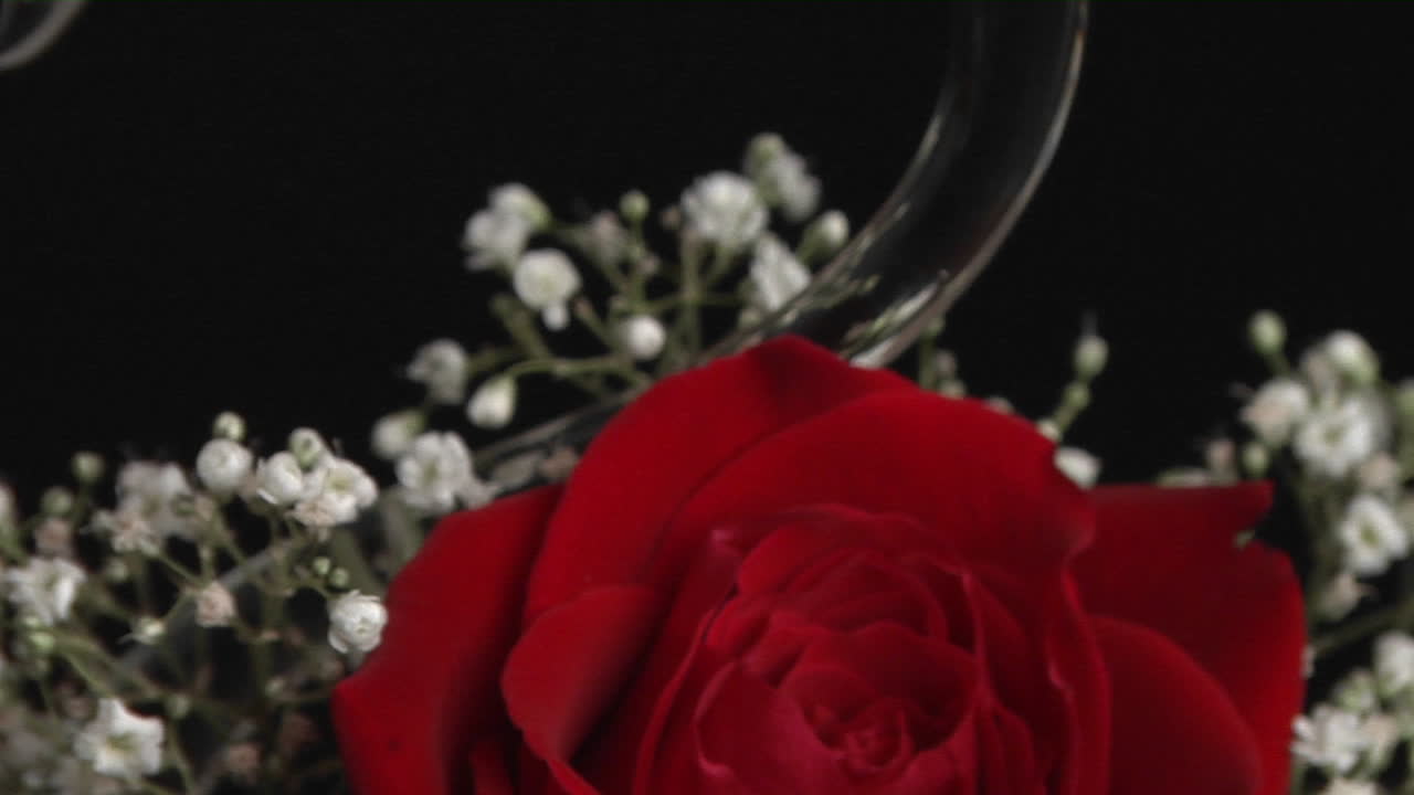 아기의 숨결로 둘러싸인 백조 모양의 꽃병에 빨간 장미