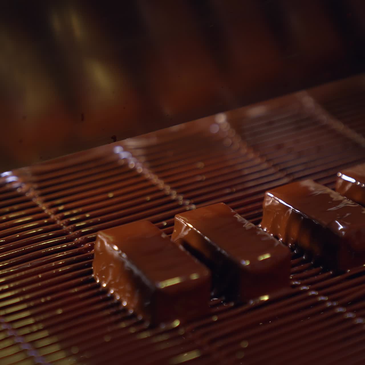Chocolate candies on a conveyor belt