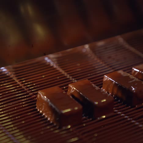 chocolate candies on a conveyor belt