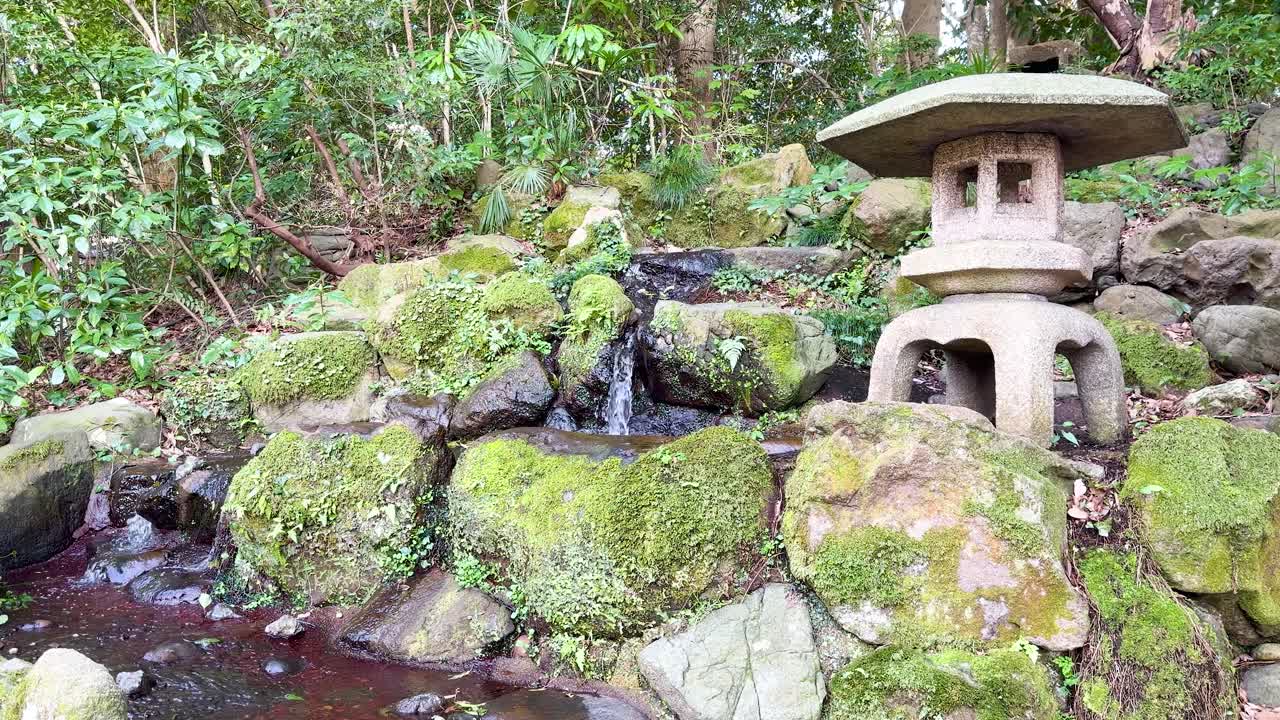 L'acqua scorre sopra rocce muschiose accanto a una tradizionale lanterna di pietra in un sereno giardino giapponese.