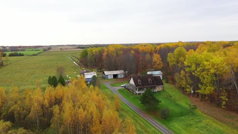 Linda-Granja-Con-Ganado-Y-árboles-De-Colores-Otoñales