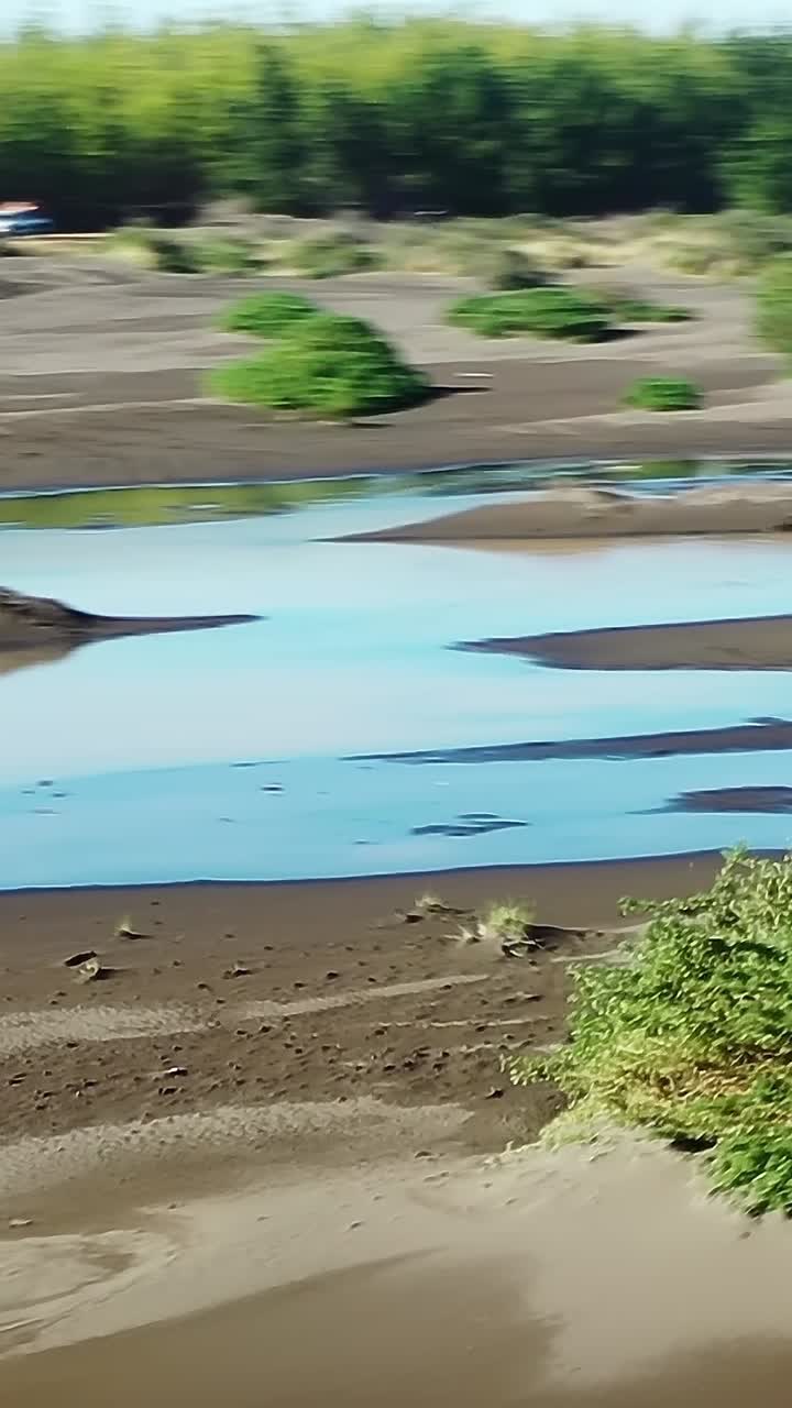 Sunlight shines on wetlands in Chile during the afternoon
