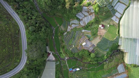 general landscape view of the brinchang district within the cameron highlands area of malaysia