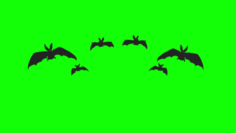 Fondo-Transparente-De-Video-De-Gráficos-En-Movimiento-De-Bucle-Volador-De-Murciélago-De-Halloween-Con-Canal-Alfa