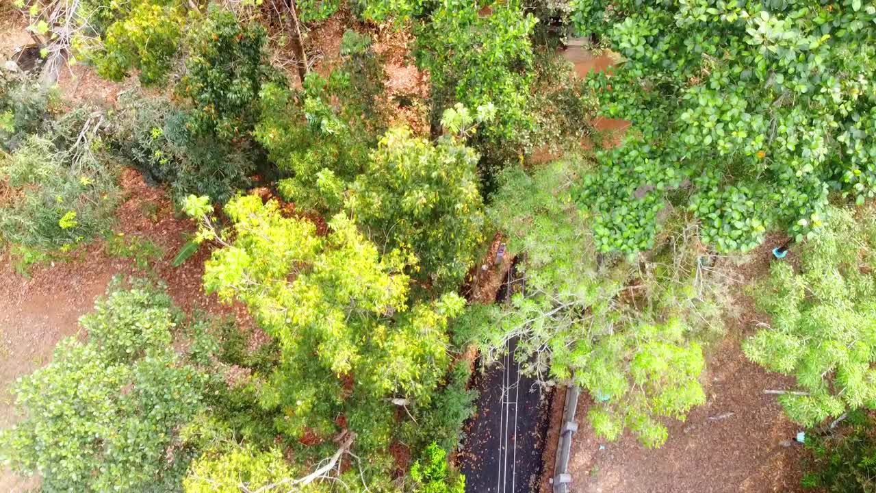 High-angle aerial shot transitioning from a residential driveway and stone-paved yard into a thick tropical forest canopy. Vibrant green trees and rural architecture from a bird's-eye view