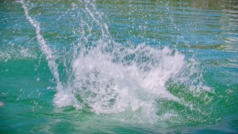 mujer joven en bikini saltando a la piscina al aire libre en cámara lenta