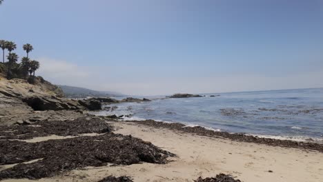 hermosa playa de la costa de california con palmeras - 4k clasificado