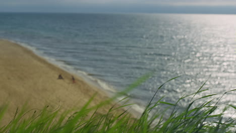 grass blowing wind beach on sea landscape. aerial view people sit on sand shore.