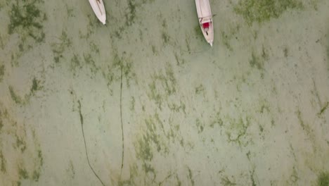 boats anchored in shallow tropical water, top down