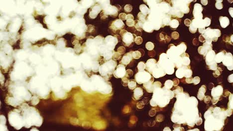 bokeh dorado y fondo borroso.