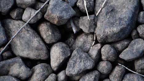 hermosas piedras redondeadas grises en la playa del lago en el norte de suecia