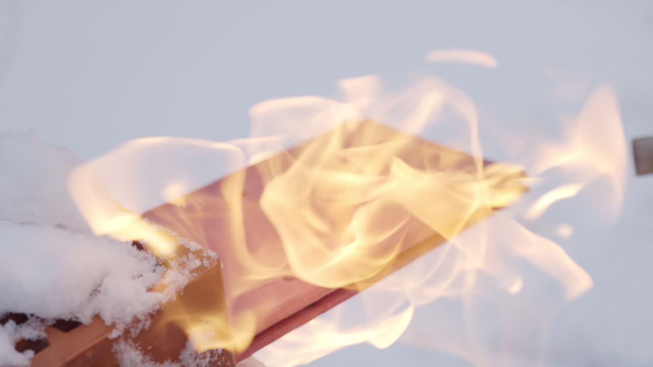 눈 속에서 불타는 나무를