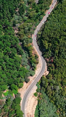 aerial flying over road through forest in mountain in chile
