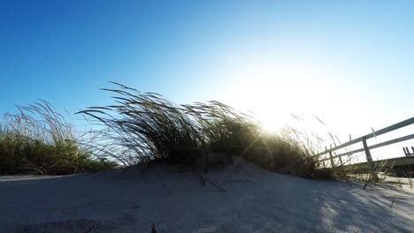 las dunas de arena