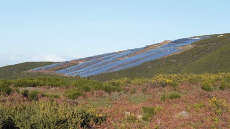 photovoltaic farm on top of a mountain in paul da serra madeira island