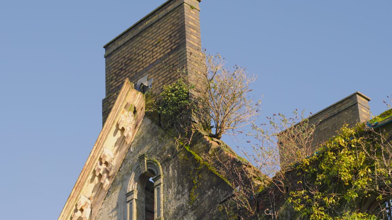 Edificio abbandonato in città con struttura in cemento fatiscente, finestre mancanti ed erbacce e piante che si riprendono il terreno per la natura.