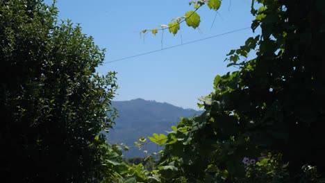 scenic view on a sunny day of a mountain