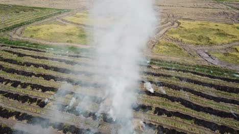 Open-burning-rice-straw-at-countryside-area.