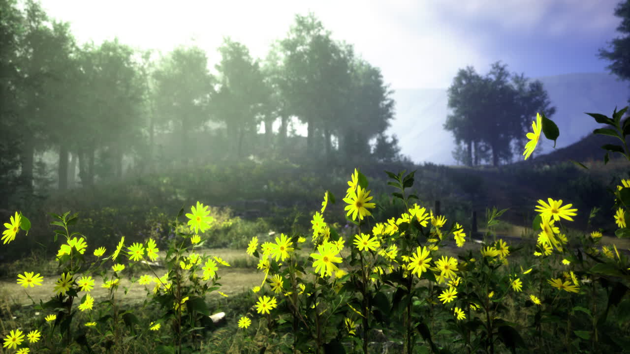 Vibrant yellow flowers bloom in a serene forest landscape at dawn