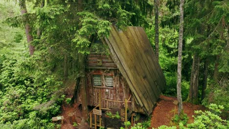 fairy tale style hut in dense latvian forest – peaceful drone lift sequence