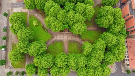 green park in between city buildings, aerial top down view