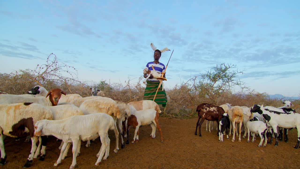 Native Karamojong Man Holding Baby Goat At The Animal Farm In Uganda, Africa. Zoom In Shot