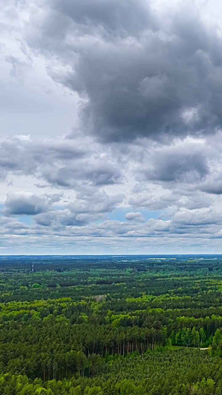 Timelapse aereo verticale su una fitta foresta lettone che si estende verso l'orizzonte lontano, con nuvole stratificate che si muovono nel cielo blu