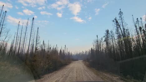 Driving-On-Dirt-Road-Through-Burnt-Forest-Covered-By-Ash,-Wildfire-Aftermath-Disaster-In-Sudbury,-Ontario,-Canada