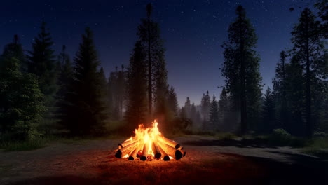 campfire in a forest on a starry night