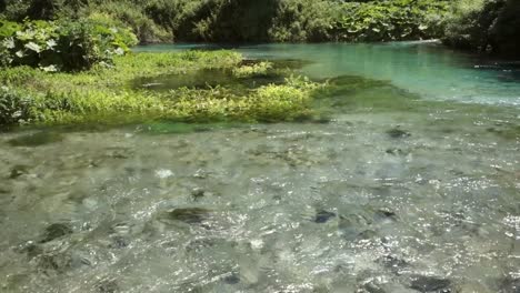 crystal clear and clean river in blue eye nature monument near to saranda, albania