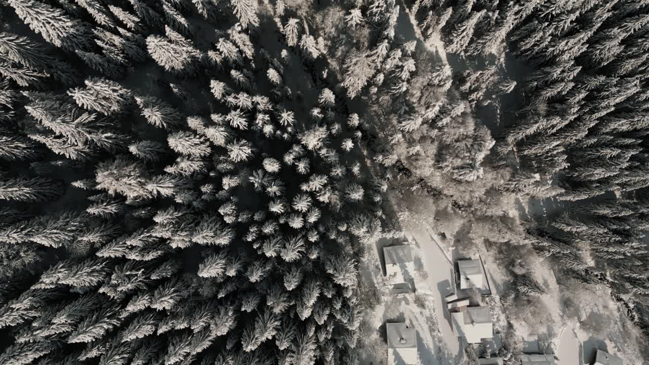 pueblo de montaña y árboles en un paisaje nevado con luz solar, nieve y cielo azul