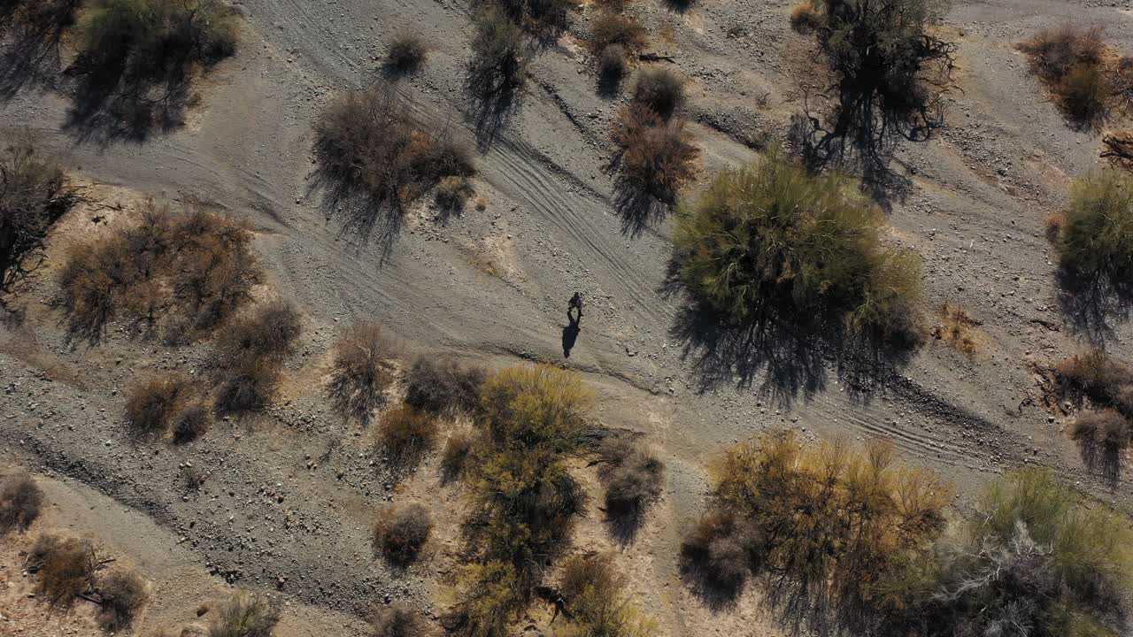 An overhead aerial shot of a desperado wearing a poncho and cowboy hat wandering through a dry wash in Arizona's Sonoran Desert