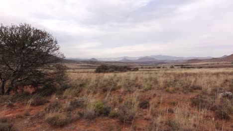 Paisajes-Del-Gran-Karoo