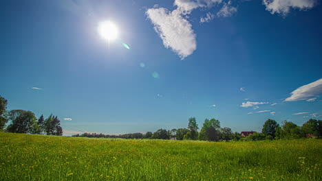 Blue-sky-partially-cloudy-timelapse-over-green-forest-with-trees