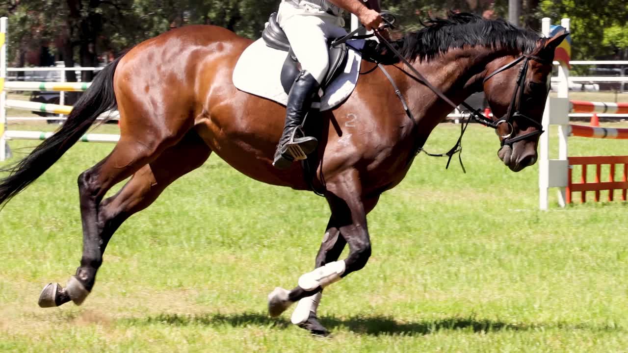 A horse and rider navigate a grassy field, approaching various obstacles in an equestrian event.