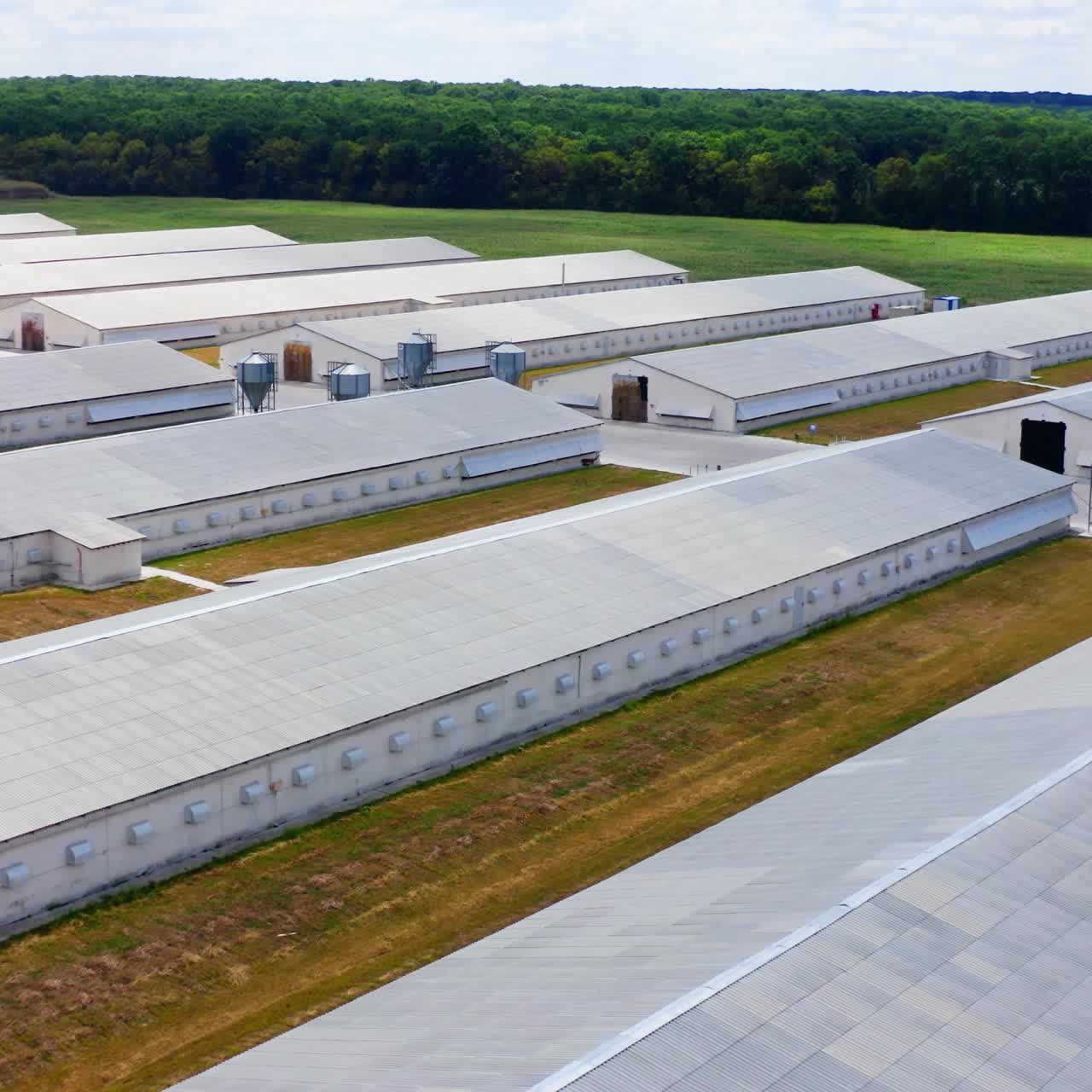 Large farm near green nature. Modern farm buildings on a meadow. Agricultural plant among clean environment. Top view