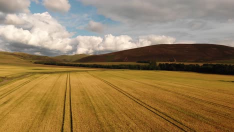 wheat fields in the pentland hills, scotland- aerial view