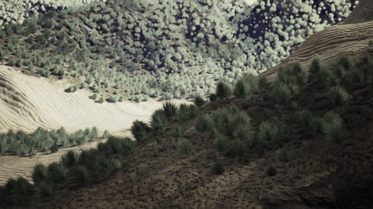 Vibrant desert landscape showcasing diversity of vegetation at sunrise